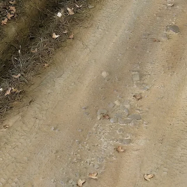 Acryl-Terrain AK - Light Earth (250 ml)