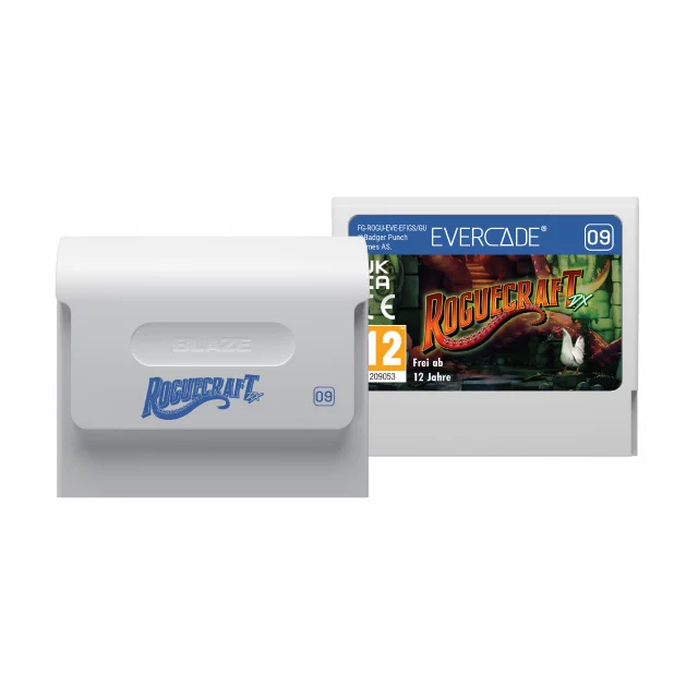 Cartridge pro retro herní konzole Evercade - NEOGEO Arcade 1 dupl