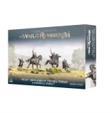 Desková hra The Lord of the Rings - Middle-Earth Strategy Battle Game: The War of the Rohirrim - Haleth & Háma, Princes of Rohan (2 figurky) dupl