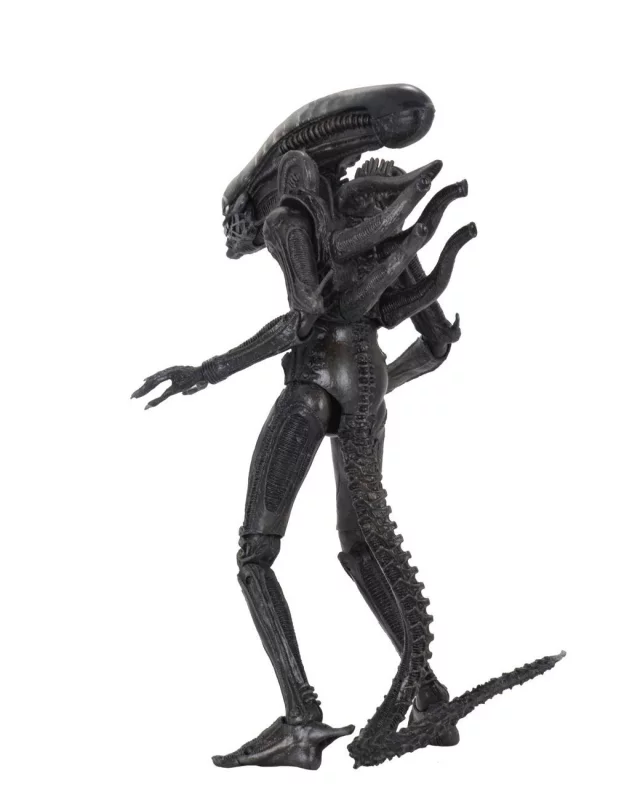 Figurka Alien: Romulus -  Scorched Xenomorph (NECA) dupl