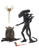 Figurka Alien: Romulus -  Scorched Xenomorph (NECA) dupl