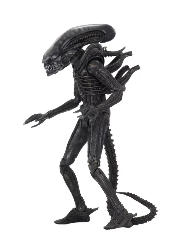 Figurka Alien: Romulus -  Scorched Xenomorph (NECA) dupl