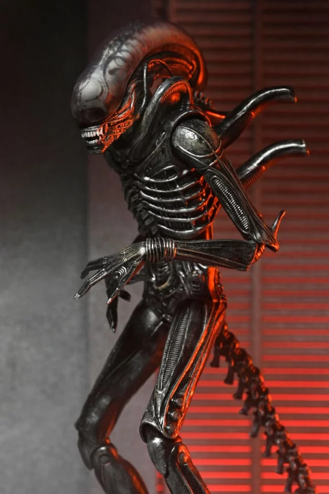 Figurka Alien: Romulus -  Scorched Xenomorph (NECA) dupl