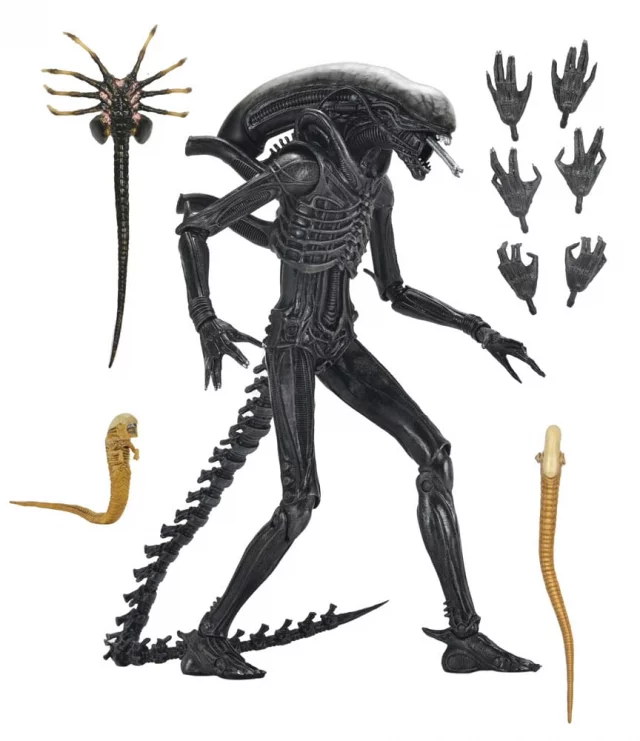 Figurka Alien: Romulus -  Scorched Xenomorph (NECA) dupl