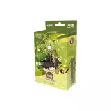 Kartenspiel Genshin Impact TCG - Pre-Built Starter Deck Collei (CN) - TCG Sammelkartenspiel