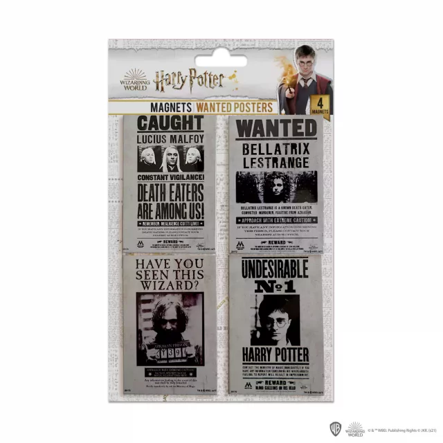 Magnet Harry Potter - Marauder’s Map & Portrait Lady (2 ks) dupl