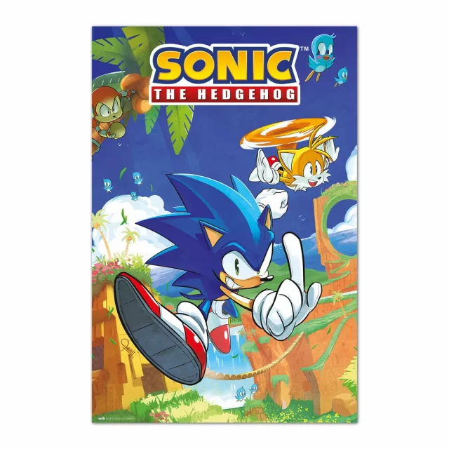 Plakat Sonic The Hedgehog - Sonic & Tails