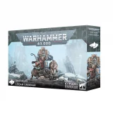 W40k: Space Wolves - Grey Hunters (10 figurek) dupl