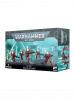 W40k: Aeldari - Wraithguard (5 Figuren)