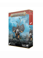 W-AOS: Stormcast Eternals - Iridan the Witness (1 Figur)