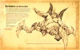 Buch Diablo Bestiary - The Book of Adria - The Art Of