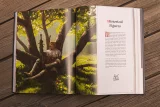 Buch The Art of Kingdom Come: Deliverance II [EN]