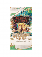 Kartenspiel Flesh and Blood TCG: Compendium of Rathe - Booster (ENGLISCHE VERSION)