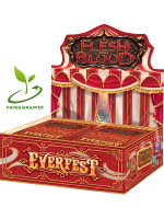 Kartenspiel Flesh and Blood TCG: Everfest- 1st Edition Booster Box (24 Booster) (ENGLISCHE VERSION)