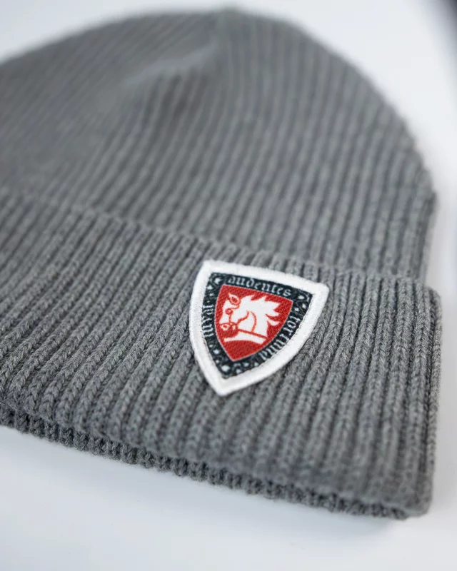 Mütze Kingdom Come: Deliverance II - Warhorse-Schild Audentes Fortuna Iuvat