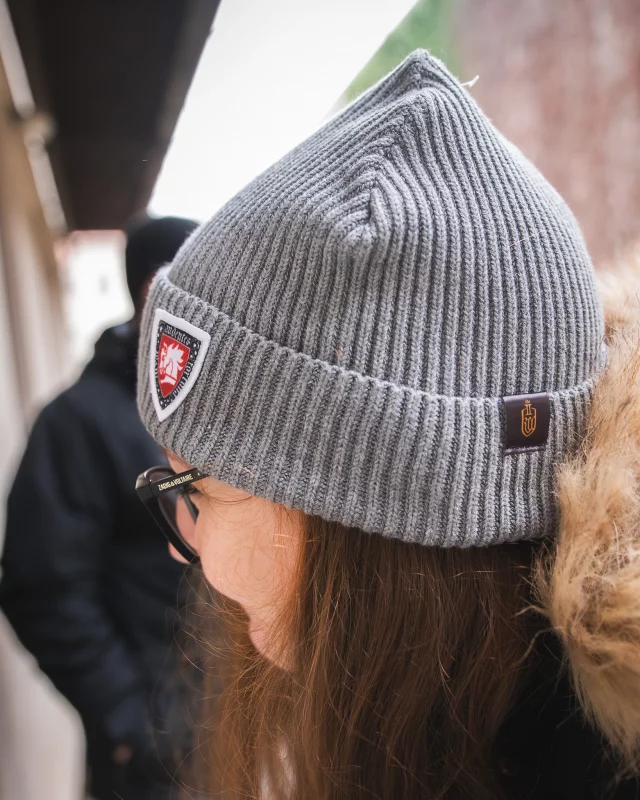 Mütze Kingdom Come: Deliverance II - Warhorse-Schild Audentes Fortuna Iuvat