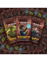Kartenspiel Magic: The Gathering Strixhaven - Draft Booster (15 Karten) (ENGLISCHE VERSION)