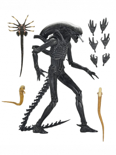 Figur Alien: Romulus - Ultimate Xenomorph (NECA)