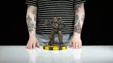 Figur Fallout - NCR Power Armor (Dark Horse)