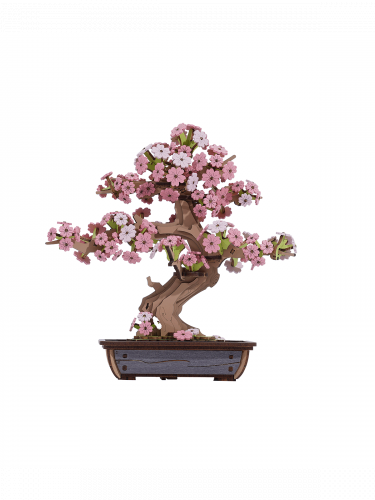 Bausatz - Sakura Bonsai (Holz)