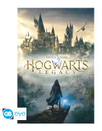 Poster Harry Potter - Hogwarts Legacy