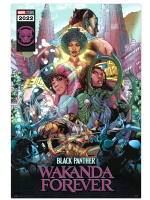 Poster Marvel: Black Panther: Wakanda Forever - Comic