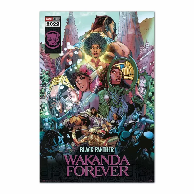 Poster Marvel: Black Panther: Wakanda Forever - Comic