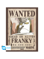 Poster One Piece - Franky