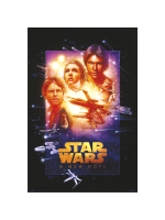 Poster Star Wars - New Hope Special Edition