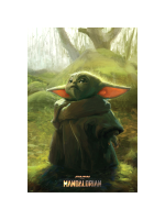 Poster Star Wars: The Mandalorian - The Child