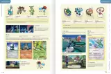 Buch Pokémon Deluxe Character Guide ENG