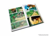 Kniha My Neighbor Totoro Film Comic: All-in-One Edition ENG