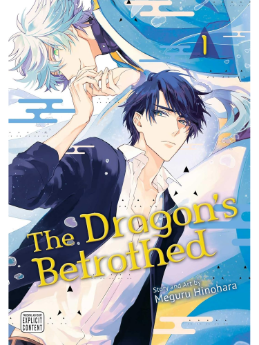 Comic The Dragon's Betrothed 1 ENG