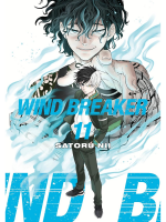 Comic Wind Breaker 11 ENG