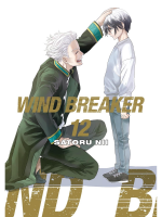 Comic Wind Breaker 12 ENG