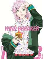 Comic Wind Breaker 7 ENG