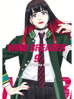 Comic Wind Breaker 9 ENG