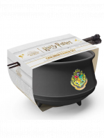 Ramen-Schüssel Harry Potter - Cauldron