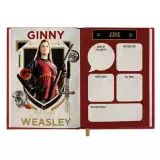Geschenkset Harry Potter - 25th Anniversary (Kalender 2027, Notizbuch, Kugelschreiber)