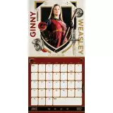 Geschenkset Harry Potter - 25th Anniversary (Kalender 2027, Notizbuch, Kugelschreiber)