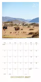Kalender BBC Earth 2027 - Tierische