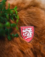 Anstecker Kingdom Come: Deliverance II - Warhorse Studios