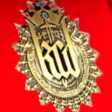 Anstecknadel Kingdom Come: Deliverance - Limited Collector Pin (beschädigte Verpackung) - Stück limitiert