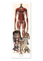 Türposter Attack on Titan - Characters