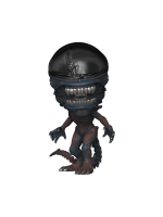 Figur Alien: Romulus - Scorched Xenomorph (Funko POP! Movies 1617)