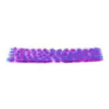 Modellbau-Bewuchs AK - Purple-pink tufts (4,5 mm) - Warhammer 40000