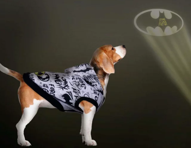 Hundekostüm DC Comics - Batman