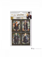 Magnete Harry Potter - Portraits (4 Stck)