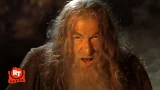 Lord of the Rings: The Fellowship of the Ring (2001) - You Shall Not Pass! Scene | Movieclips