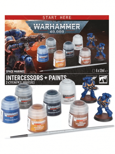 Warhammer 40,000 - Space Marines: Intercessors + Paints